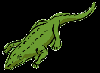 alligator1.gif