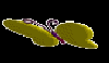 3d butterfly.gif