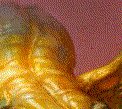 dragon3.gif