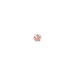 zoomlinkbig_w.gif