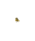 buyonline_w.gif