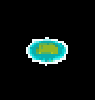 trialzoomsm.gif
