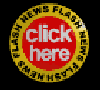 newflash2_b.gif