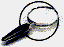 search2[1].gif