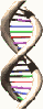 dna.gif