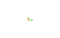 zoomsvesm_w.gif