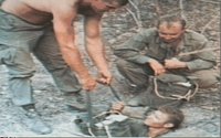 VNR739.GIF