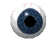 eyeball2.gif