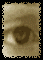 eye_search[1].gif