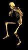 skelwalk.gif