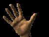 handwave.gif
