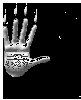 hand.gif