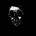 skull.gif