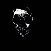 skull.gif