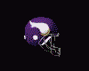 minnesota.gif