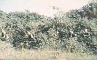 VNR756.GIF