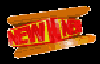 New3d3.gif