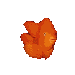 goldfish.gif
