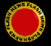 newsflash2_b.gif