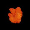 goldfish.gif