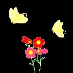 butterflies.gif