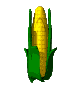 bcornopen.gif