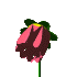 bFLOWERred.gif