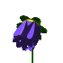 bFLOWERblue.gif