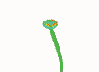 flower.gif