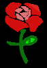 fleur.gif