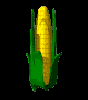 bcornopen.gif