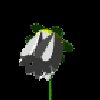 bFLOWERwhite.gif