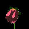 bFLOWERred.gif