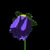 bFLOWERblue.gif