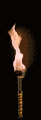 torch2.gif