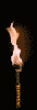torch2.gif