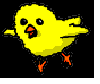 chick.gif