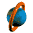 ringworldsm_w.gif
