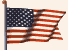 busaW.gif