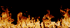 fire2[1].gif