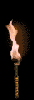 torchani[1].gif