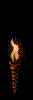 torch[1].gif