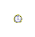 spininsm_w.gif