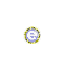 spininmed_w.gif