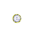 spininbig_w.gif