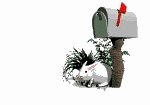 bunnybox.gif