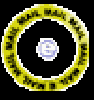 zoominsm_w.gif