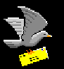 bird.gif