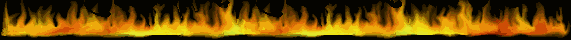 fireline[1].gif
