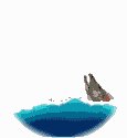 wfjump.gif